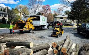 Lawn Maintenance Plans in Sissonville, WV