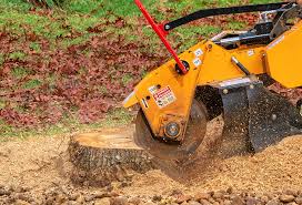 Best Commercial Tree Services  in Sissonville, WV